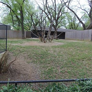 Cheetah Conservation Center- Oryx/Gazelle/Vulture Exhibit