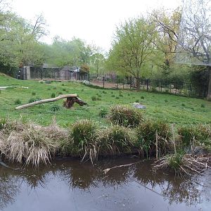 Cheetah Conservation Center- Main Cheetah Yard