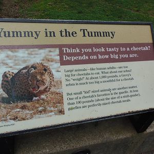 Cheetah Conservation Station- Cheetah Meal Sign