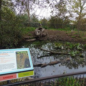 Zoo In Your Backyard- Pond Habitat