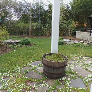 Zoo In Your Backyard- Backyard Habitat