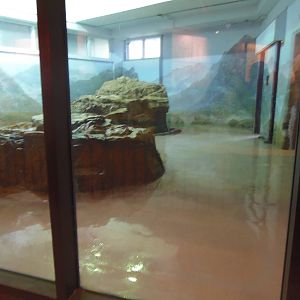 Asia Trail- Indoor Panda Exhibit#1