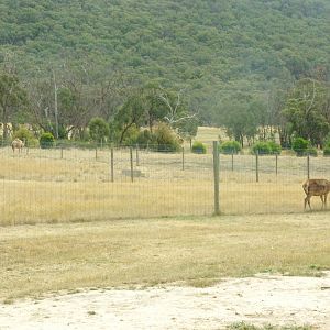 View of the paddocks
