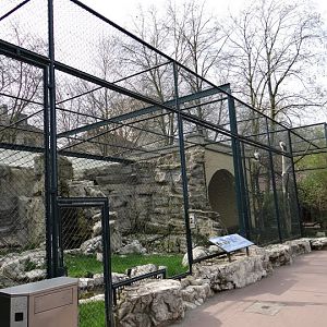 Aviaries