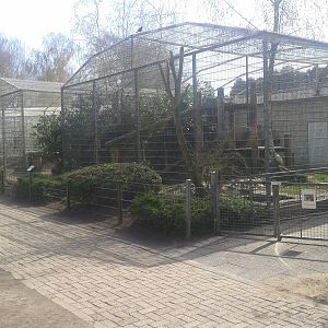 Jaguar and puma enclosure