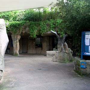 Zoo Am Meer - Rainforest area