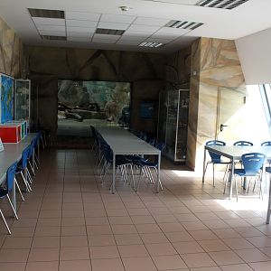 Zoo Am Meer - Zoo School