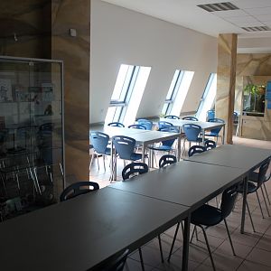 Zoo Am Meer - Zoo School