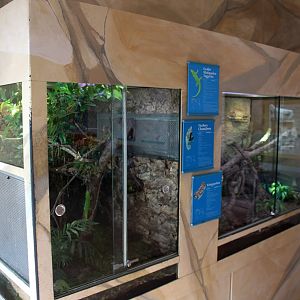 Zoo Am Meer - Zoo School terrariums