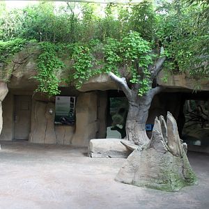 Zoo Am Meer - Rainforest area