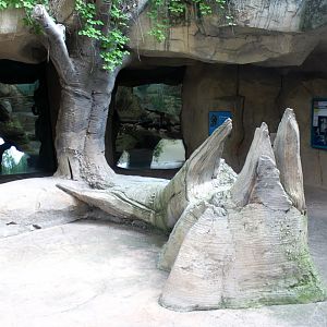 Zoo Am Meer - Rainforest area