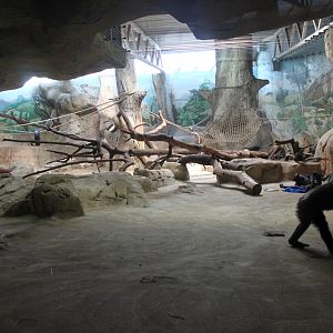 Zoo Am Meer - Chimpanzee Exhibit