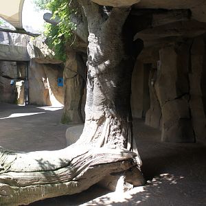 Zoo Am Meer - Rainforest area