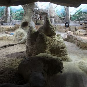 Zoo Am Meer - Chimpanzee Exhibit