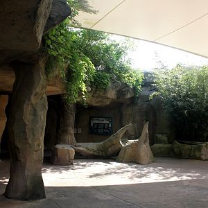 Zoo Am Meer - Rainforest area