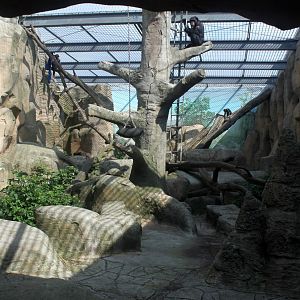 Zoo Am Meer - Chimpanzee Exhibit (Outdoor)