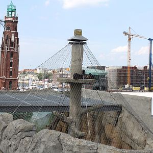 Zoo Am Meer - Chimpanzee Exhibit (Top part)