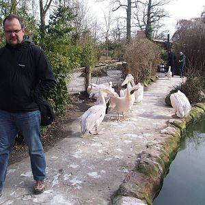 Pelican Walkthrough at Hannover, 23/03/13