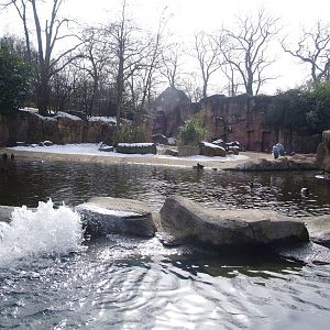 Boat Ride Hippo Viewing at Hannover, 23/03/13