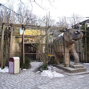 Leopard Exhibit at Hannover, 23/03/13
