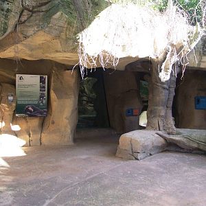 Chimp Viewing Area at Bremerhaven, 24/03/13