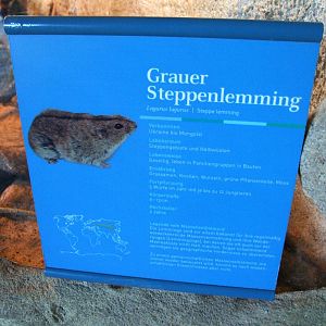 Signage Example at Bremerhaven, 24/03/13