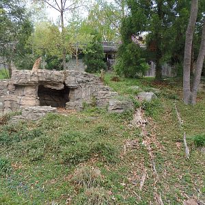 Asia Trail- Giant Panda Yard #1