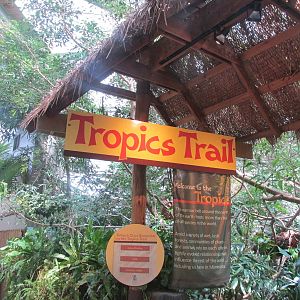 Tropics Trail