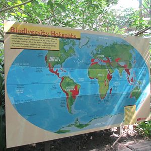Tropics Trail World Map
