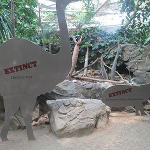 Tropics Trail Madagascar