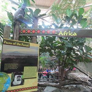 Tropics Trail Africa