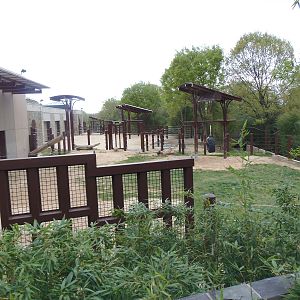 Elephant Trails- Elephant Yard