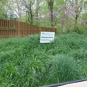 Empty Prairie Dog Exhibit