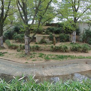 Great Cats- Sumatran Tiger Exhibit