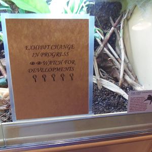 Amazonia- Exhibit Change in Process