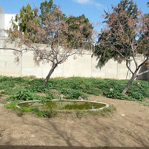 General view of wolves enclosure