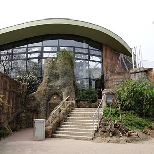 Pavilion of Gorilla and other