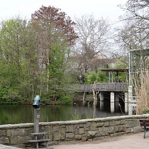 Island of Hylobatidae