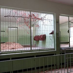 Cages of Okapia johnstoni