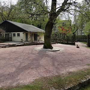 Paddock of Nanger dama mhorr