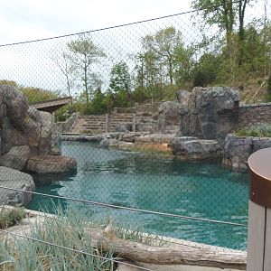 American Trail- California Sea Lion/Brown Pelican Exhibit