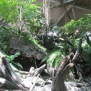 Tropics Trail Africa