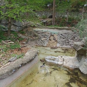American Trail- Beaver/Merganser Exhibit