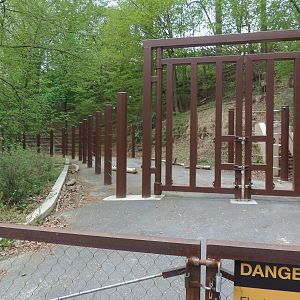 Elephant Trails- Elephant Trek