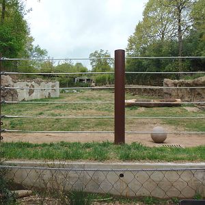 Elephant Trails- Asian Elephant Exhibit