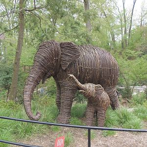Elephant Trails- Willow Branch Elephant Mom and Calf