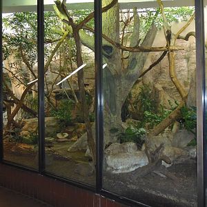 Small Mammal House- Lemur/Hyrax/Squirrel Exhibit