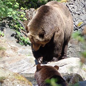 Do You See What I See?