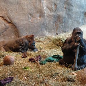 It's too early to get up!