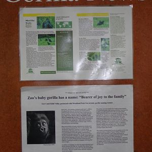 Signage: Gorilla News